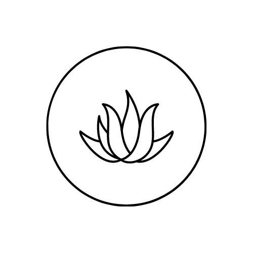 Aloe Vera.png__PID:54c6889b-c040-4292-ae38-b3e1a509ba28